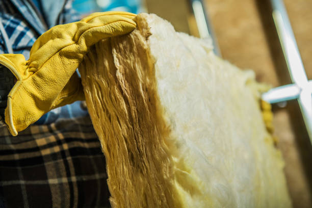 Best Insulation Materials and Products in Holley, FL