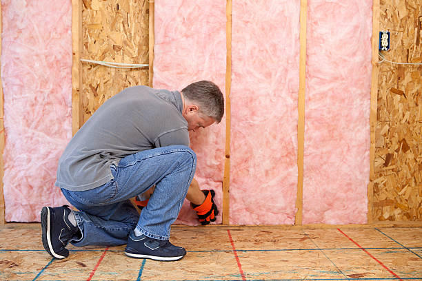 Best Commercial Insulation in Holley, FL