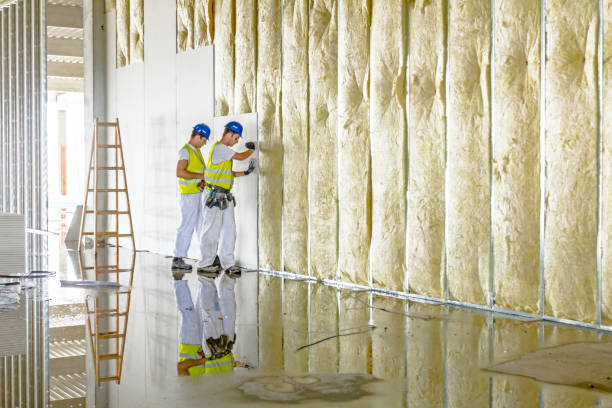 Best Residential Insulation in Holley, FL
